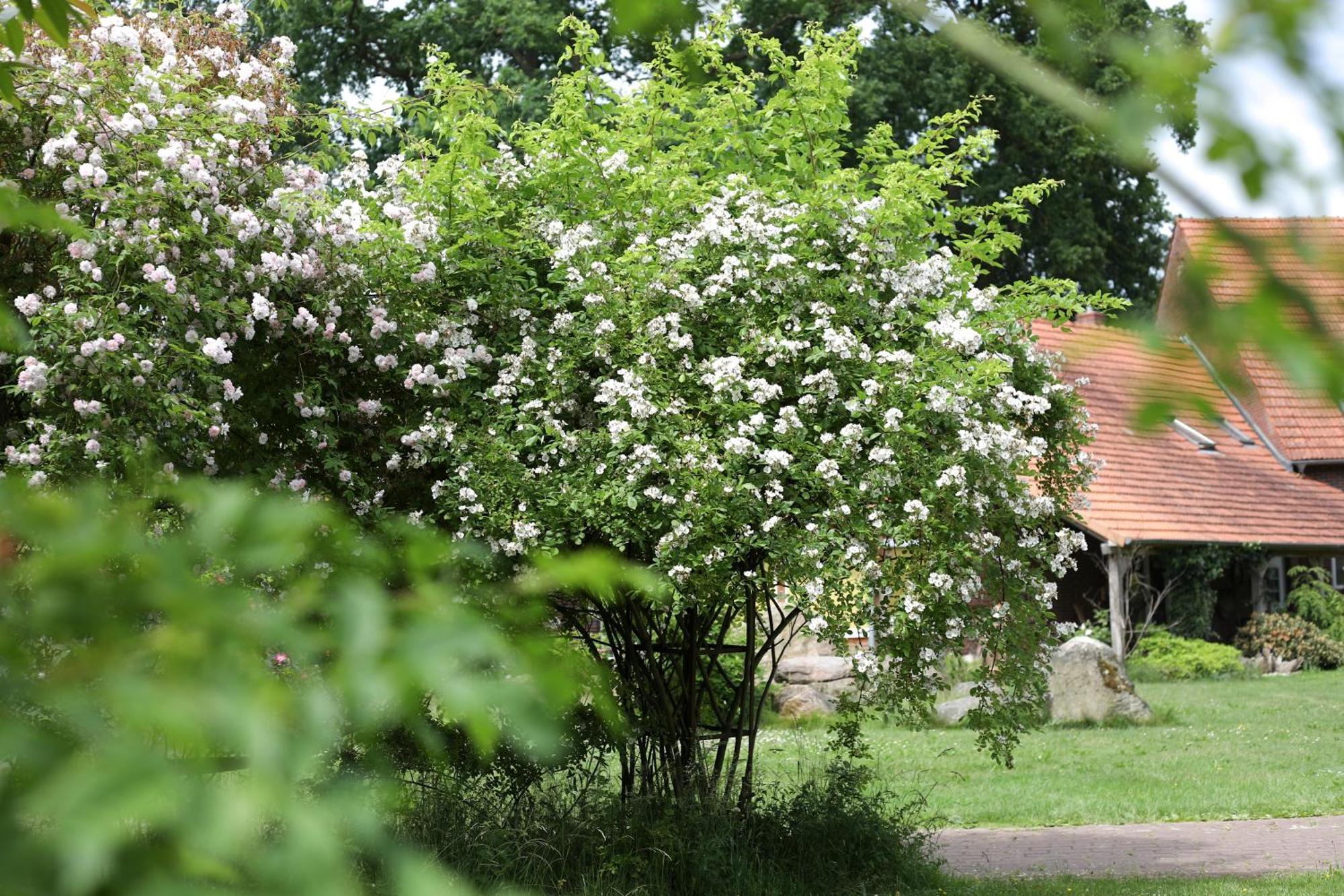 ホテル Sophienhof Achternholt Wardenburg エクステリア 写真